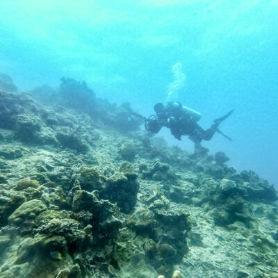 Diving Pulau Tubir Seram 004