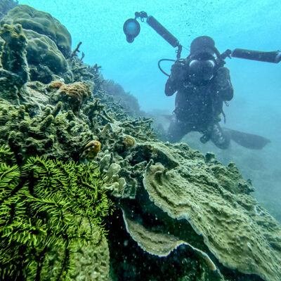 Diving Pulau Tubir Seram 006