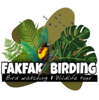 logo Fakfak Birding